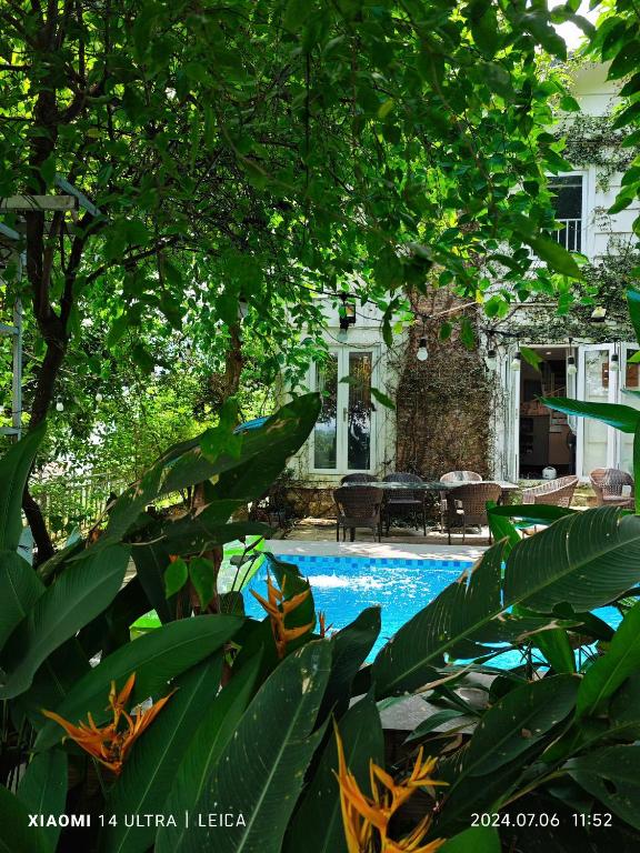 Villa La Senlis, biệt thự kiểu Pháp - B&B Hòa Bình