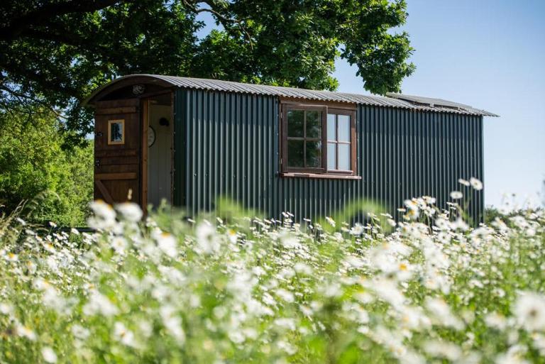 Harbour Ranch Hut - Rustic Countryside Escape - B&B Emsworth