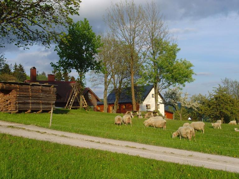 Na Zvonici - Ferienwohnung Paseky nad Jizerou