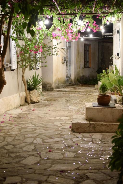 Daniela Village House - B&B Koroni