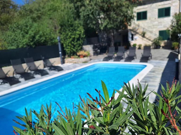 Stone holiday house Iva - Ferienwohnung Donji Vinjani