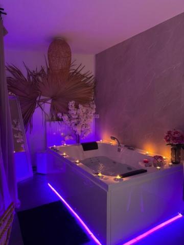 BALI SPA détente à deux à 5 minutes de Tours centre - B&B Tours
