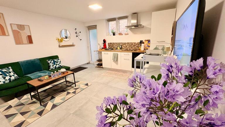 Cocon urbain , bel appartement entièrement équipé, entrée privée, parking - B&B Wittenheim