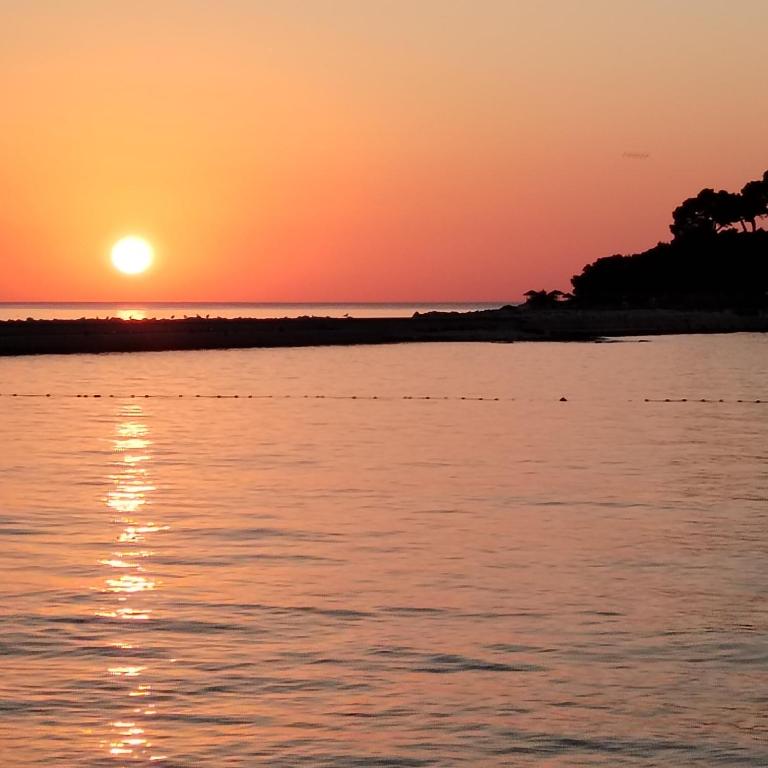 Exodus residence - B&B Poreč