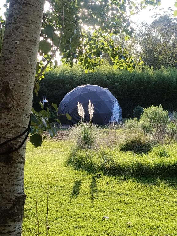 LA Viella Glamp Tala - B&B Mar del Plata