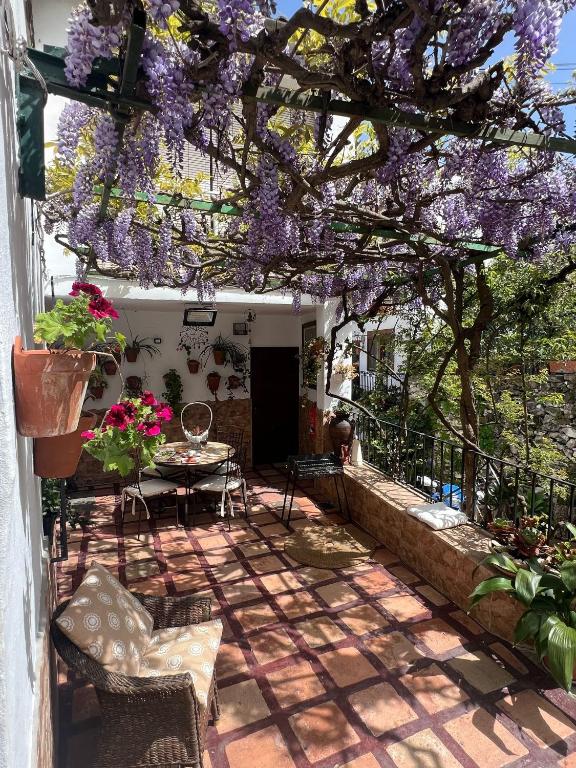 Casa Almenta - Tu hogar para desconectar en el pueblo más bonito de Málaga - B&B Benalauría