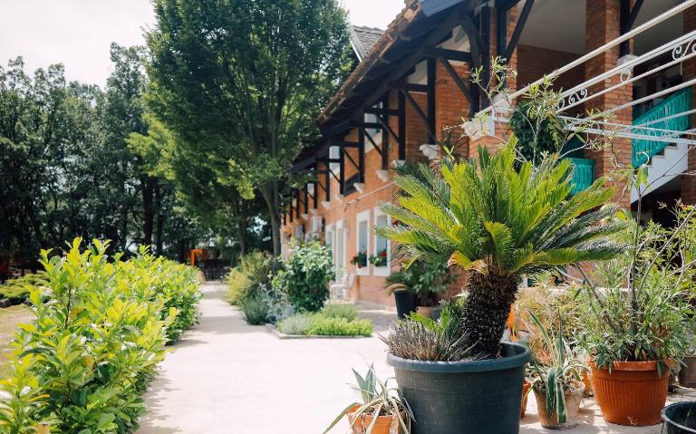 Zornića Kuća - Bed and Breakfast Baćevac