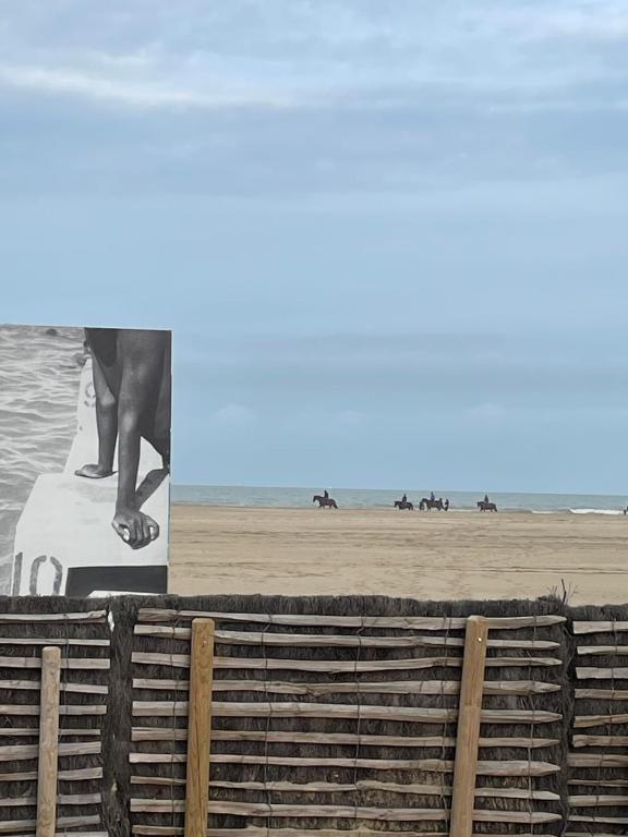 Place Morny, 2 rooms brand new, up to 4 guests - B&B Deauville