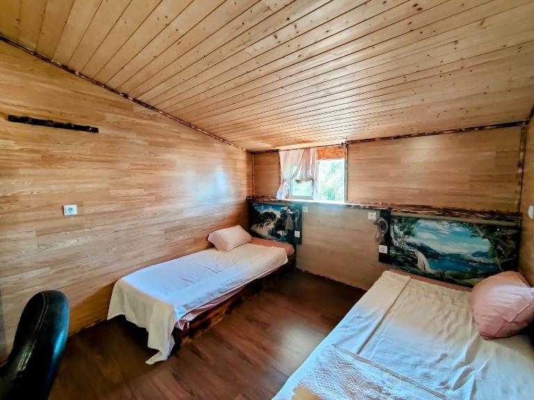 Dois amigos- Casa Amazonia PT - B&B Cernache