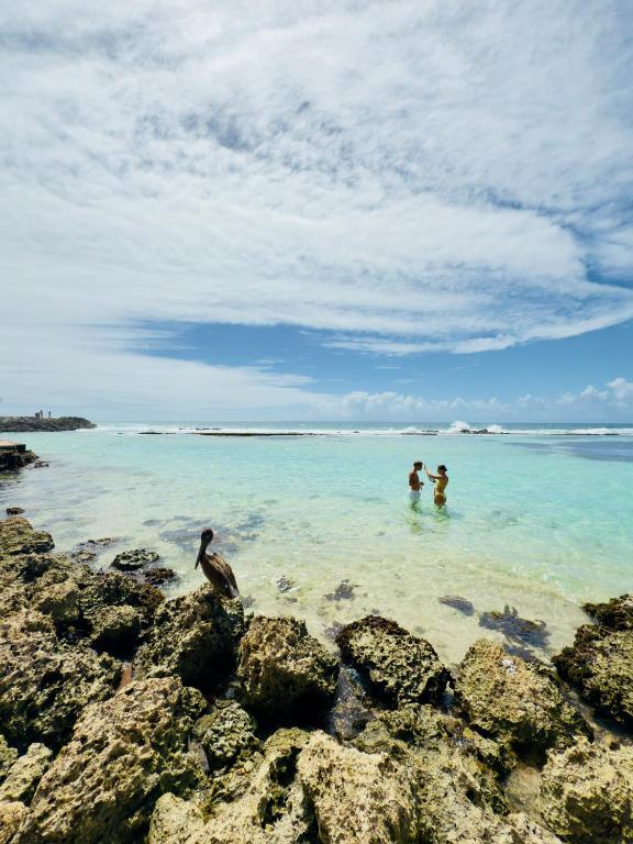 Villa AVALON, paradis les pieds dans le sable accès direct à la plage ! - Ferienwohnung Saint-François