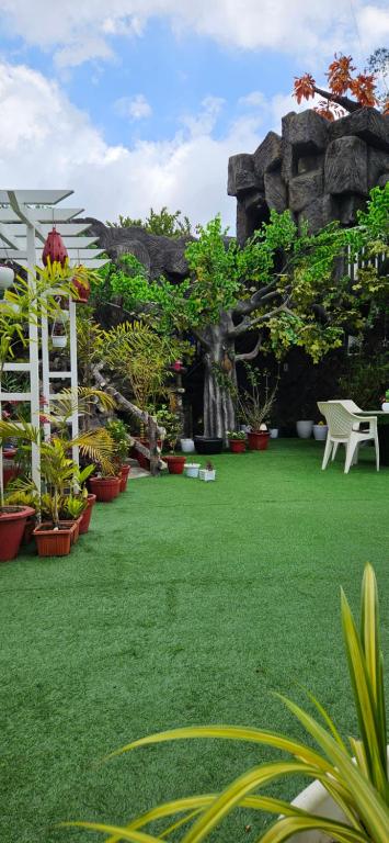 S & B Dreams House - B&B Munnar