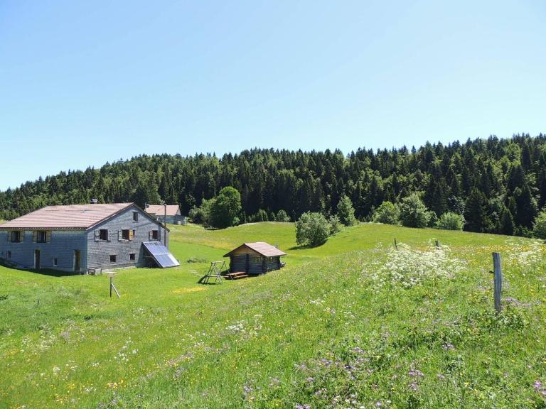 Gîte rural La Grange en pleine nature à La Pesse - B&B La Pesse