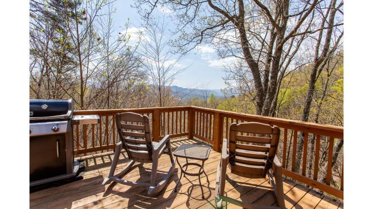 Little Goldies - B&B Bryson City