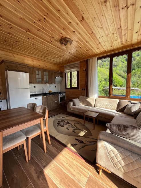Ayder Defne Suit Ev - B&B Çamlıhemşin