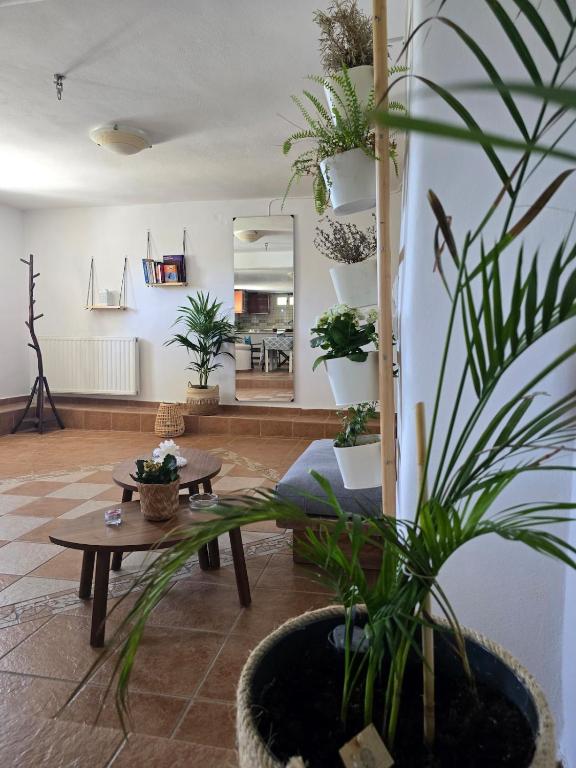 Tamarisk House-An Ideal Getaway in Southern Paros - B&B Márpissa