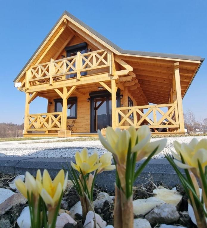 Domek Polne Kwiaty - Bed and Breakfast Stronie Śląskie