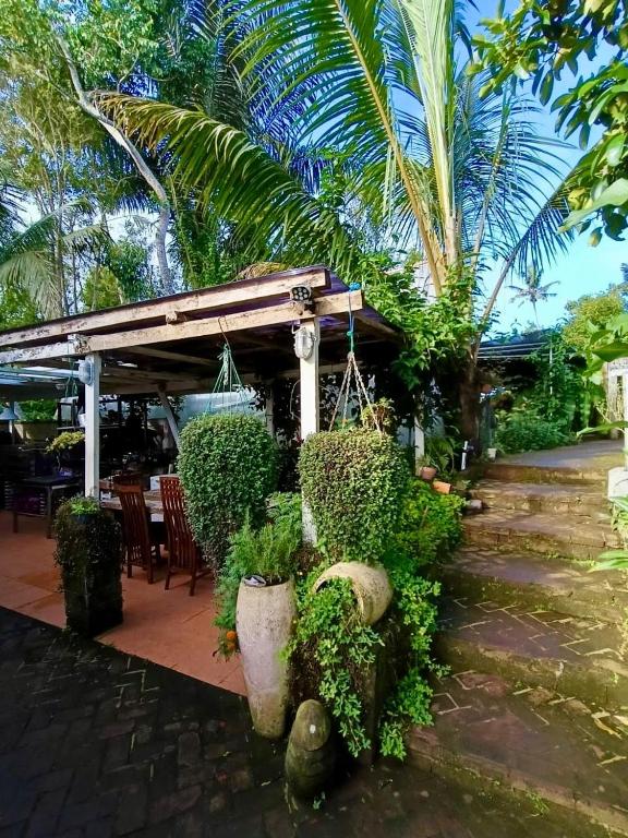 Whispering Hills - B&B Porenyah