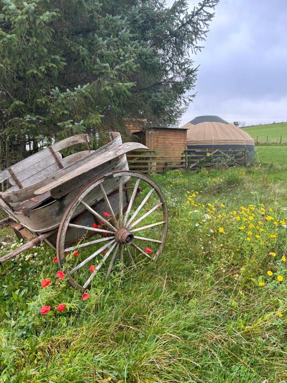 Bracken Barns Glamping & Massage - B&B Minishant