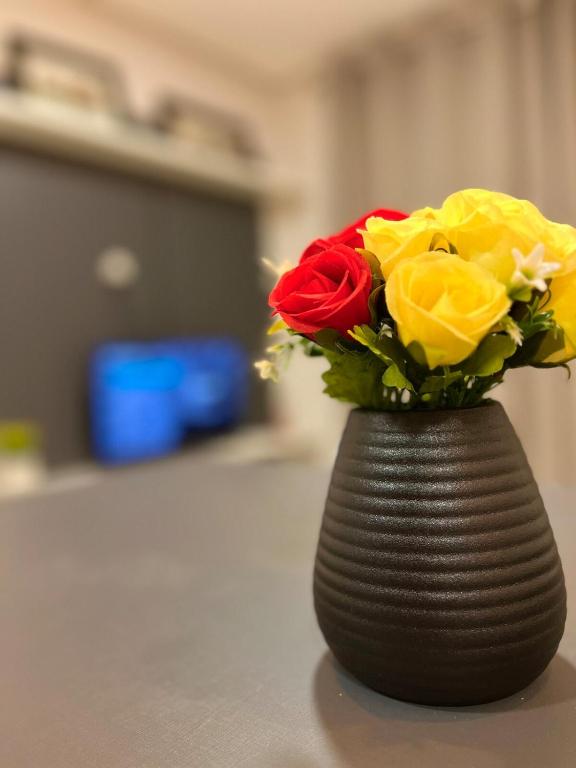 Apartamento One - Chambres d'hôtes Blumenau