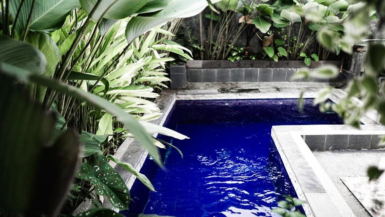 Gandhi Cahyana House - B&B Tegalalang