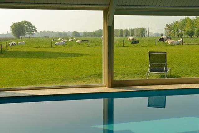 Het Weiland Villa Abondance met prachtig uitzicht - Bed and Breakfast Damme