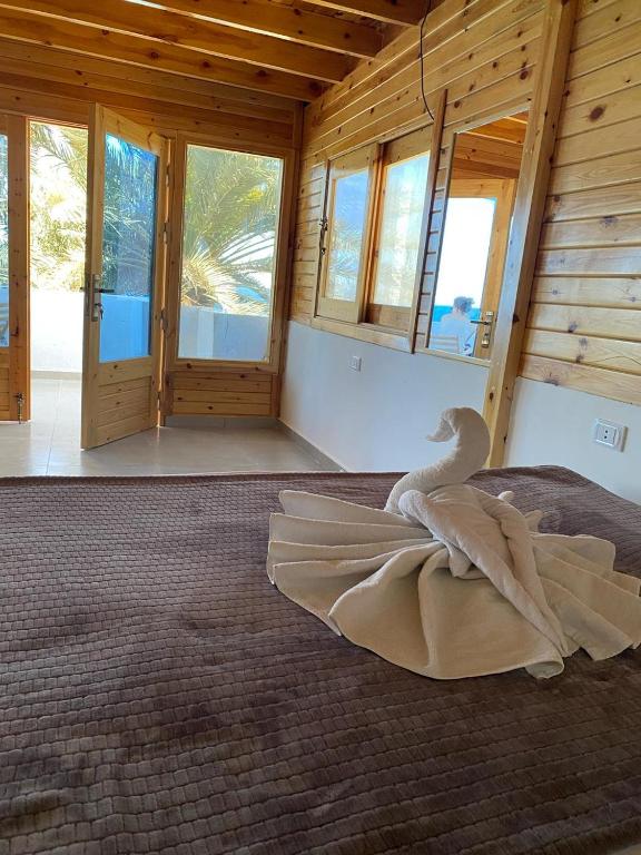 PanoPalm - Bed and Breakfast Dahab