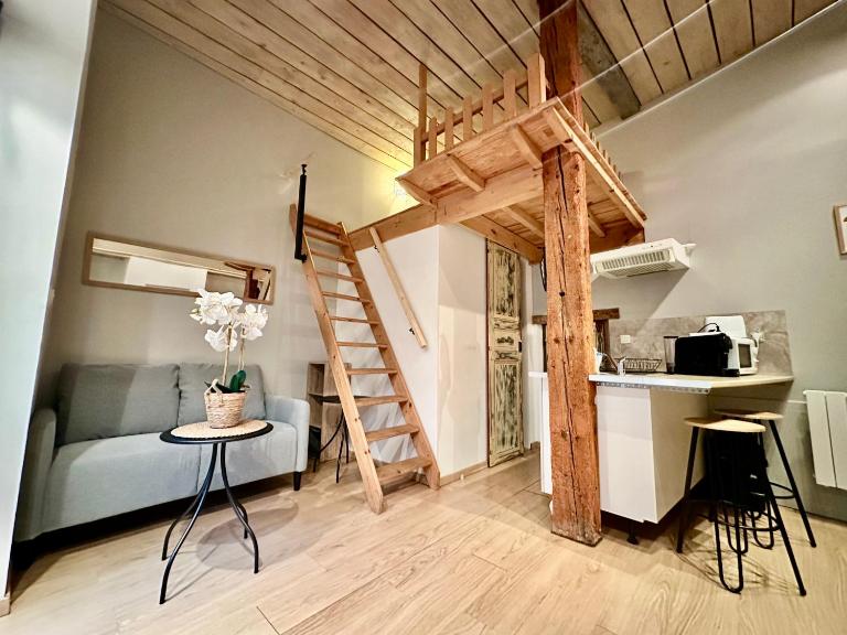 Agréable studio plein centre - B&B Saint-Gaudens
