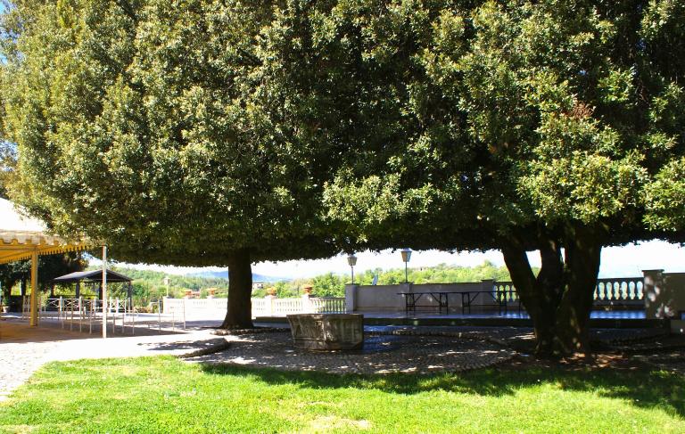 B&b Il Leccio - Chambres d'hôtes Subiaco