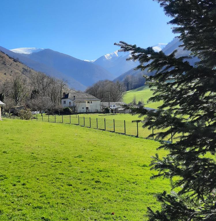 Chambres d'hôtes Ferme LAPINE - Bed and Breakfast Arthez-d'Asson