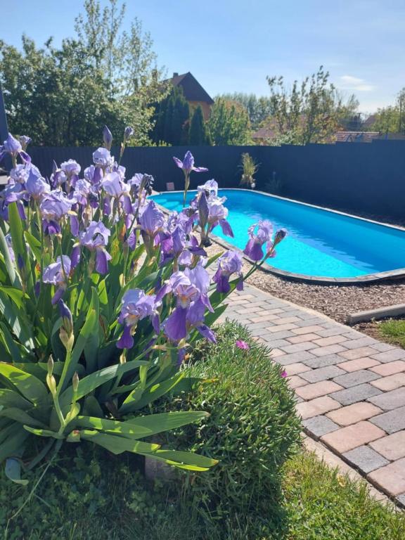 Manna Apartman - B&B Fonyód
