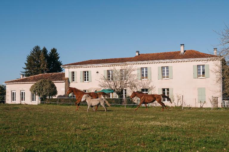 Logis de Vallombronze - B&B Clérac
