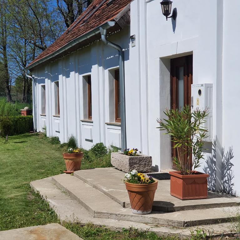 Dworek Marmis - idealny dla rodzin - B&B Mirsk