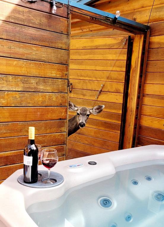 Cowboy's Trail with HotTub, King&QueenBed, in UpperCanyon, Pets welcome - B&B Ruidoso