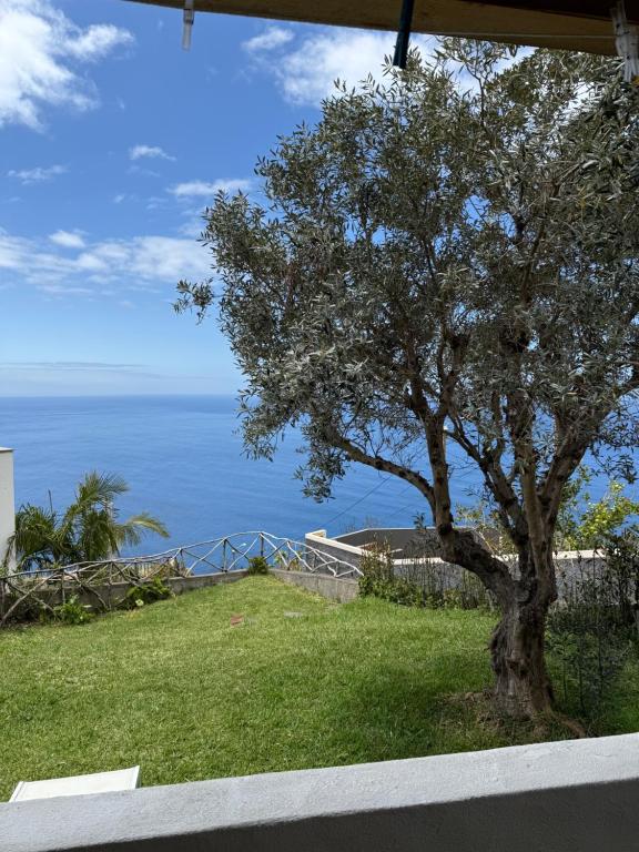Cozy Sea View House Fajã da Ovelha - B&B Calheta