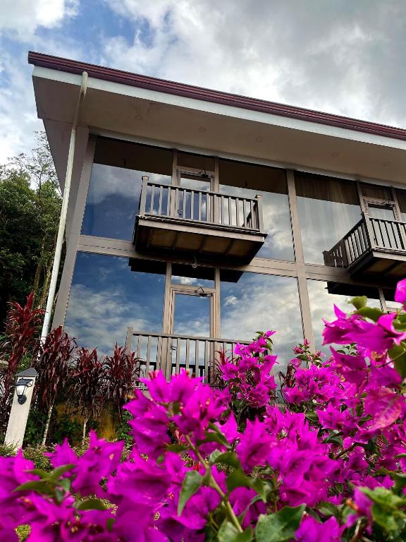 Hotel y Puentes Colgantes Heliconias Rainforest Lodge - Bed and Breakfast Bijagua
