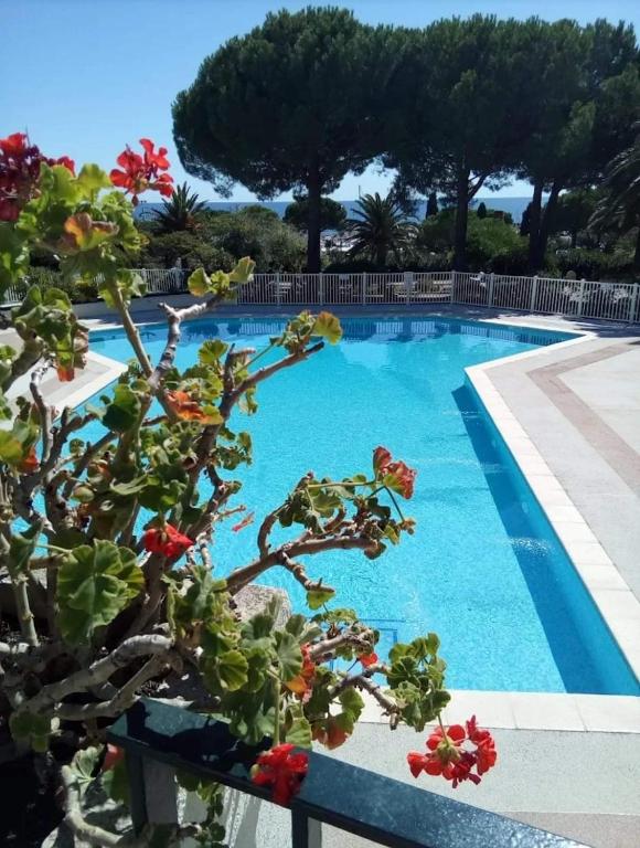 T1 bord de mer avec piscine dans residence privée - B&B La Garonnette-Plage
