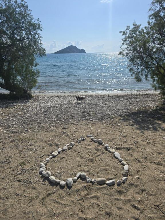 Olives House - B&B Koroni