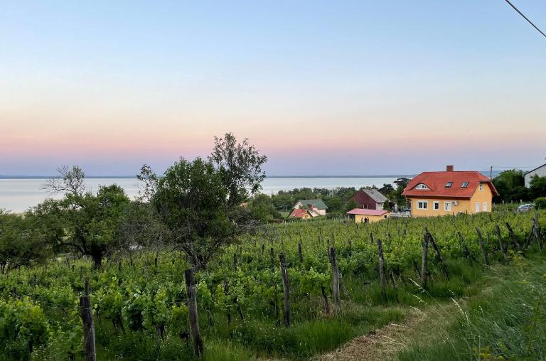 Villa Bellevue - B&B Balatongyörök