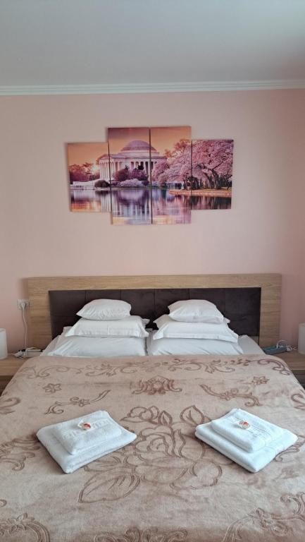 Cool Apartment Radauti - Chambres d'hôtes Rădăuţi