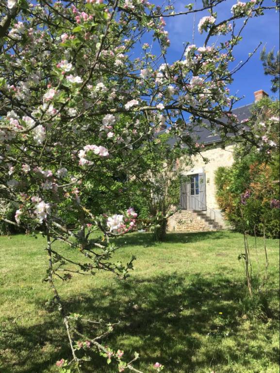 La bergerie - Point de vue sur la Creuse - Chambres d'hôtes Ceaulmont