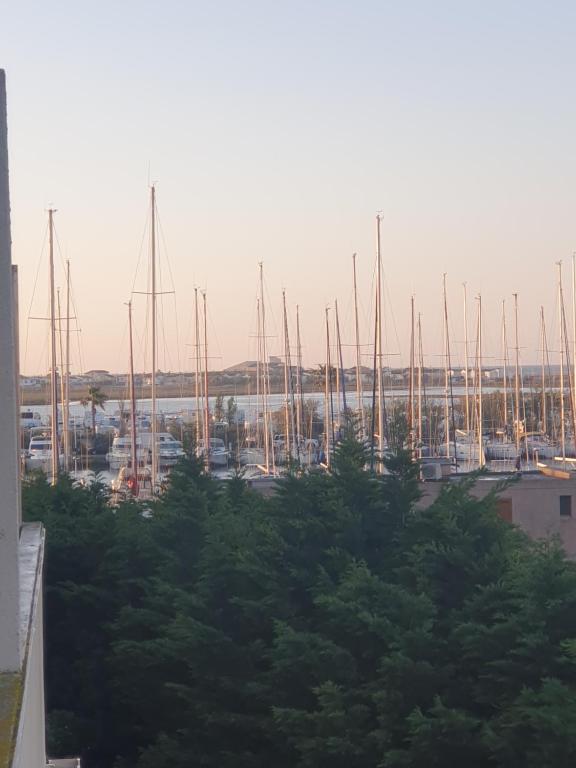 Côté Marina - B&B Gruissan