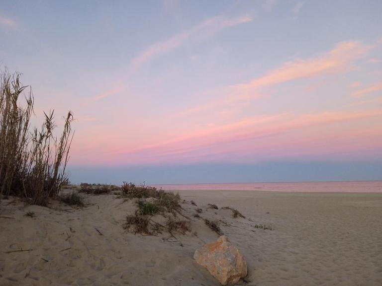 T2 climatisé à Canet Plage - Chambres d'hôtes Canet-en-Roussillon