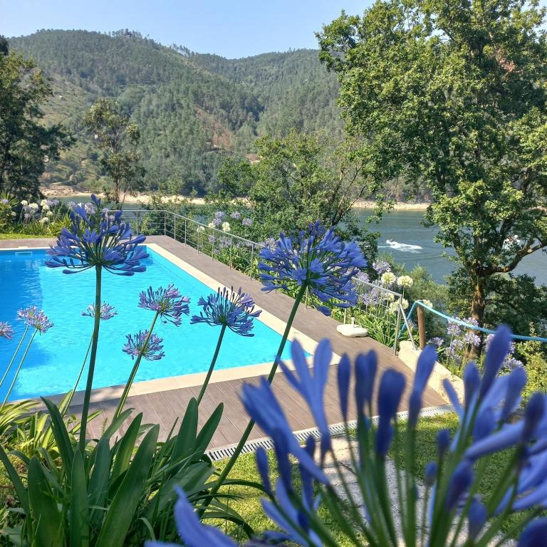 Villa Natura - B&B Cova