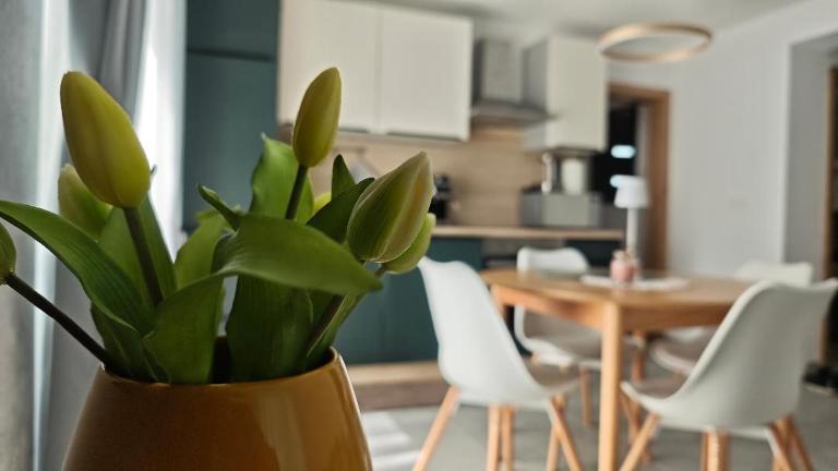 Apartma Mia Nadiža - B&B Caporetto