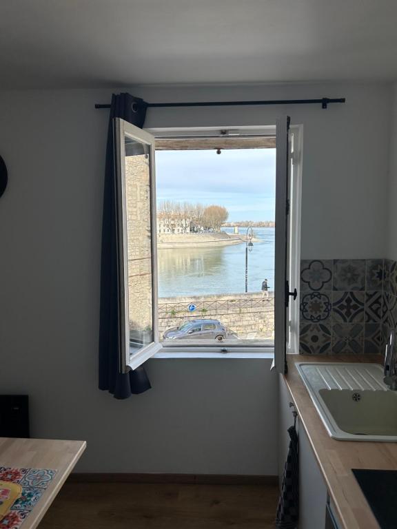 La Vue du Rhône - Bed and Breakfast Arles