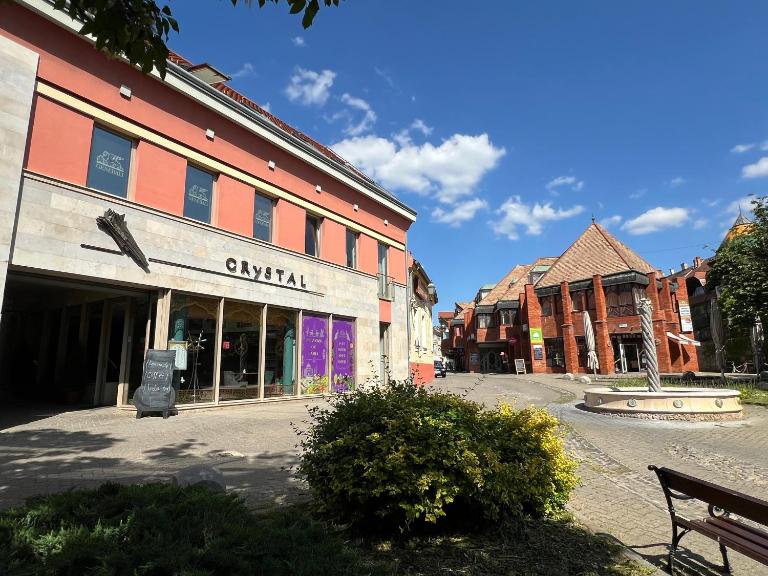CENTRUM APARTMAN - Citrom utca - B&B Pécs