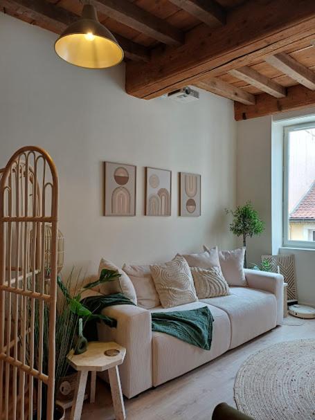 L'Appartement Pasteur - B&B Chalon-sur-Saône