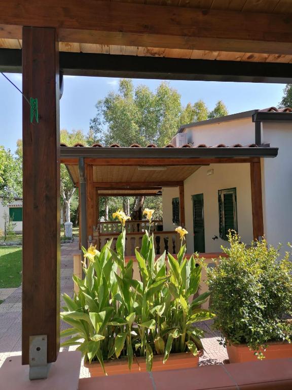nina's house , villa verde 1 beach - B&B Santa Caterina dello Ionio Marina
