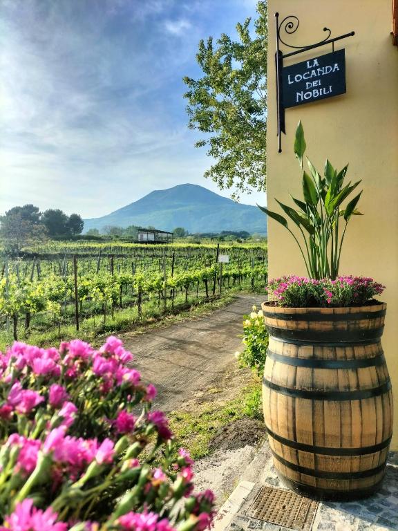 Vesuvio Inn Guest House e Wine Experience - Chambres d'hôtes Boscotrecase