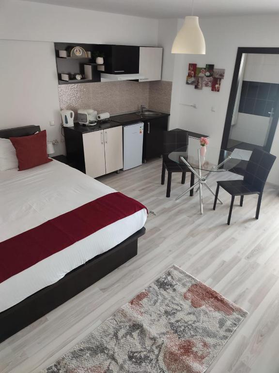 Sophia Central Studio 2 - Chambres d'hôtes Iași